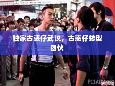 独家古惑仔武汉，古惑仔转型团伙 