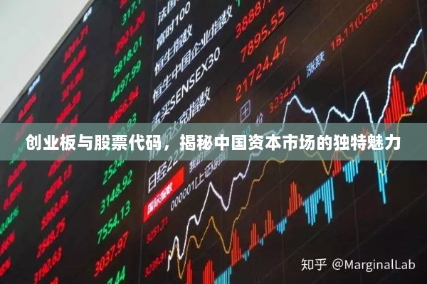 创业板与股票代码，揭秘中国资本市场的独特魅力