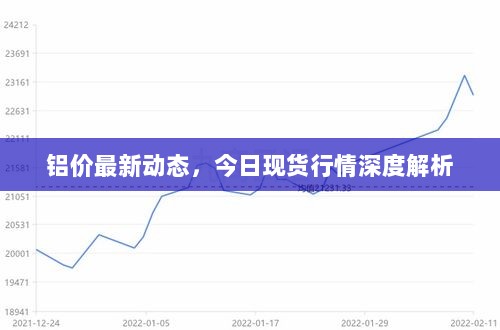 铝价最新动态，今日现货行情深度解析
