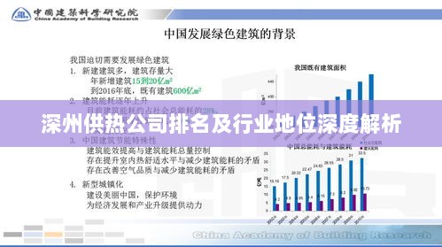 深州供热公司排名及行业地位深度解析