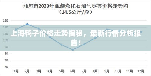 上海鸭子价格走势揭秘，最新行情分析报告！