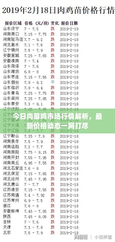 今日肉苗鸡市场行情解析，最新价格动态一网打尽