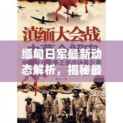 缅甸日军最新动态解析，揭秘最新计划内幕