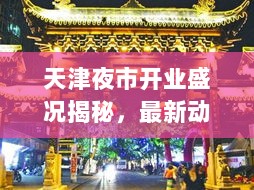 天津夜市开业盛况揭秘，最新动态一网打尽