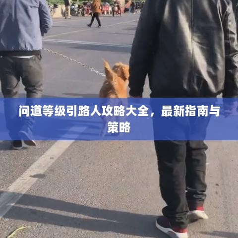 问道等级引路人攻略大全，最新指南与策略