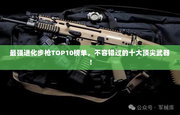 最强进化步枪TOP10榜单，不容错过的十大顶尖武器！