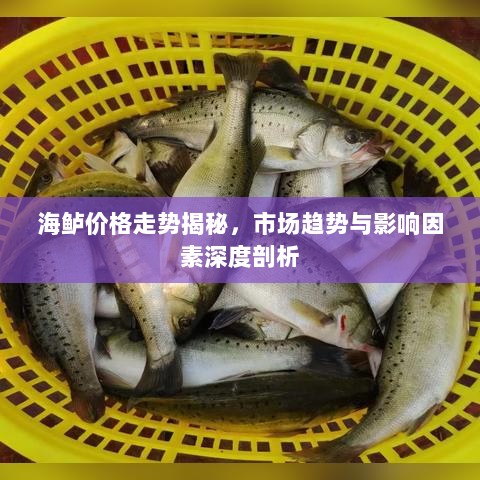 海鲈价格走势揭秘，市场趋势与影响因素深度剖析