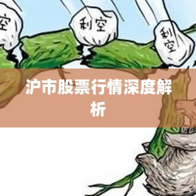 沪市股票行情深度解析