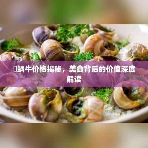 焗蜗牛价格揭秘，美食背后的价值深度解读