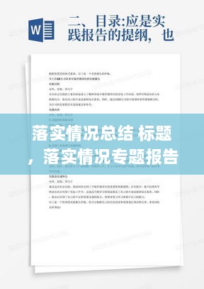 落实情况总结 标题，落实情况专题报告 