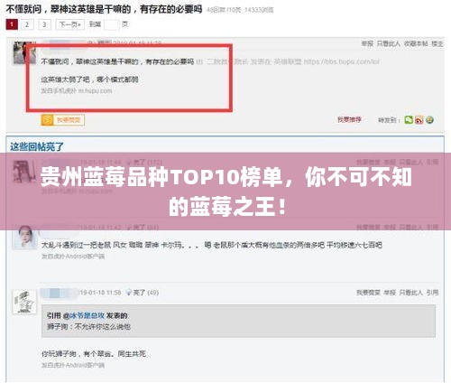 贵州蓝莓品种TOP10榜单，你不可不知的蓝莓之王！