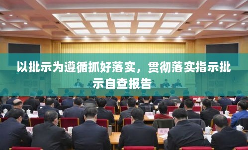 以批示为遵循抓好落实，贯彻落实指示批示自查报告 