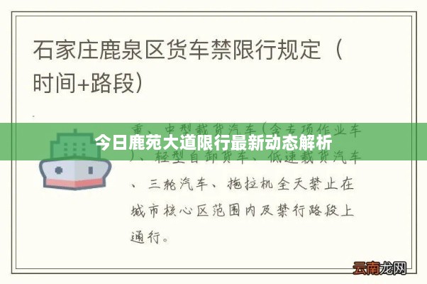 今日鹿苑大道限行最新动态解析