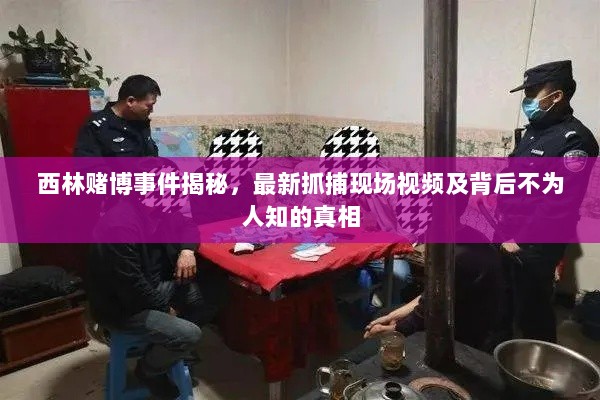 西林赌博事件揭秘，最新抓捕现场视频及背后不为人知的真相