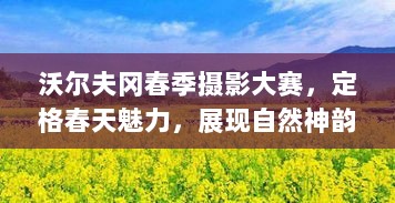 沃尔夫冈春季摄影大赛，定格春天魅力，展现自然神韵