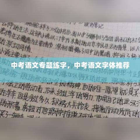 中考语文专题练字，中考语文字体推荐 