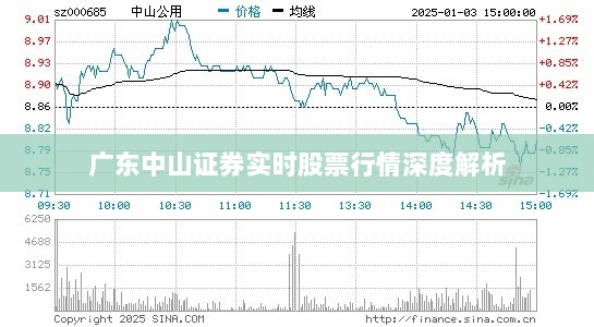 广东中山证券实时股票行情深度解析