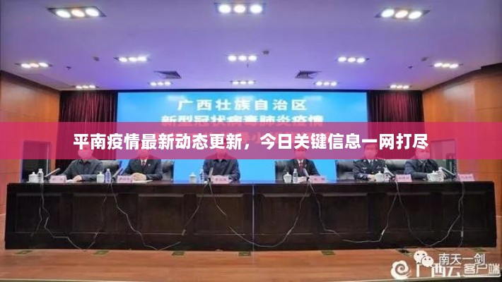 平南疫情最新动态更新，今日关键信息一网打尽