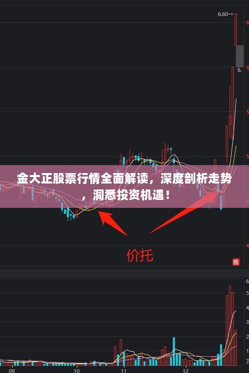 金大正股票行情全面解读，深度剖析走势，洞悉投资机遇！