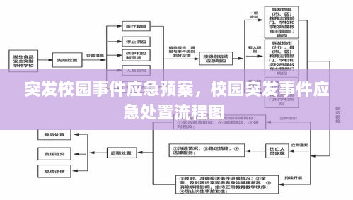 突发校园事件应急预案，校园突发事件应急处置流程图 