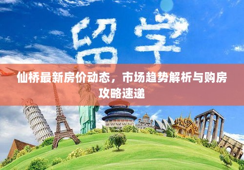 仙桥最新房价动态，市场趋势解析与购房攻略速递