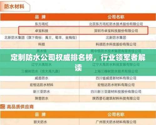 定制防水公司权威排名榜，行业领军者解读