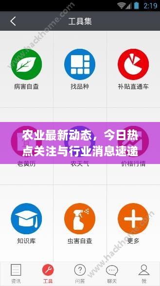 农业最新动态，今日热点关注与行业消息速递