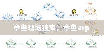 章鱼现场独家，章鱼erp 