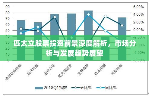 匹太立股票投资前景深度解析，市场分析与发展趋势展望