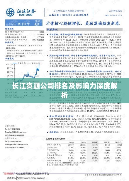 长江资源公司排名及影响力深度解析