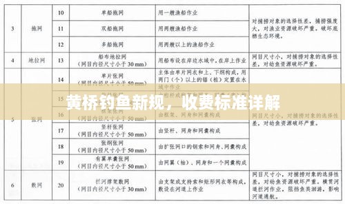 黄桥钓鱼新规，收费标准详解