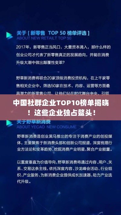 中国社群企业TOP10榜单揭晓！这些企业独占鳌头！