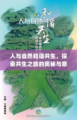 人与自然和谐共生，探索共生之旅的奥秘与意义