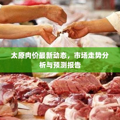 太原肉价最新动态，市场走势分析与预测报告