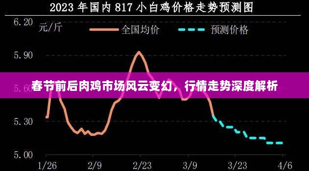 春节前后肉鸡市场风云变幻，行情走势深度解析