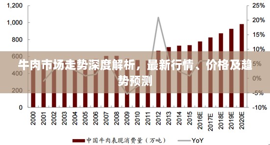 牛肉市场走势深度解析，最新行情、价格及趋势预测