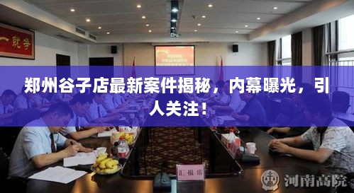 郑州谷子店最新案件揭秘，内幕曝光，引人关注！