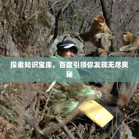 探索知识宝库，百度引领你发现无尽奥秘