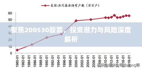 聚焦200530股票，投资潜力与风险深度解析