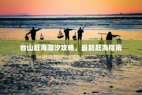 台山赶海潮汐攻略，最新赶海指南