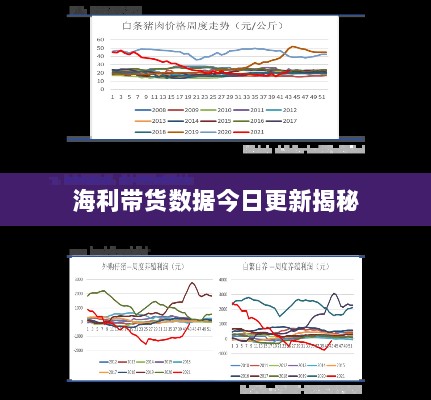 海利带货数据今日更新揭秘