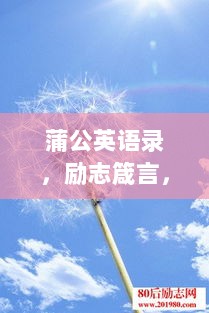 蒲公英语录，励志箴言，激发无限潜能！