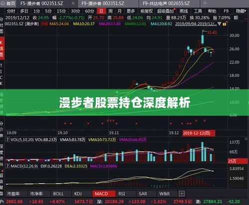 漫步者股票持仓深度解析