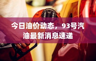 今日油价动态，93号汽油最新消息速递