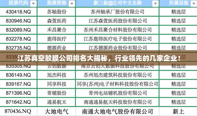 江苏真空胶膜公司排名大揭秘，行业领先的几家企业！