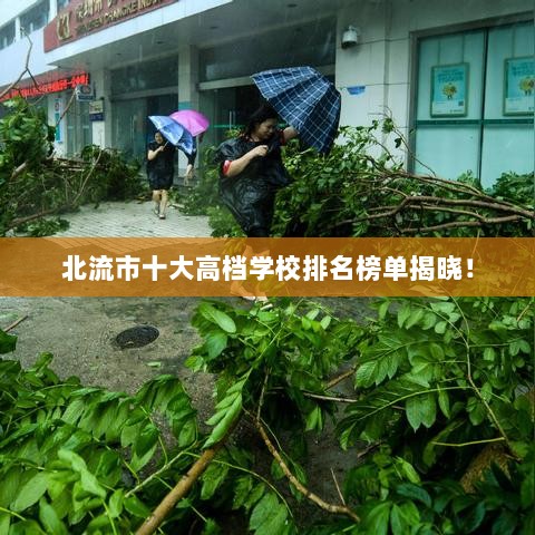 北流市十大高档学校排名榜单揭晓！