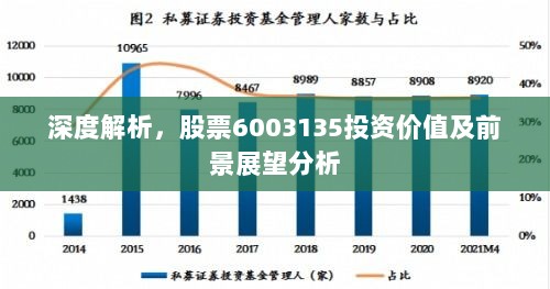 深度解析，股票6003135投资价值及前景展望分析