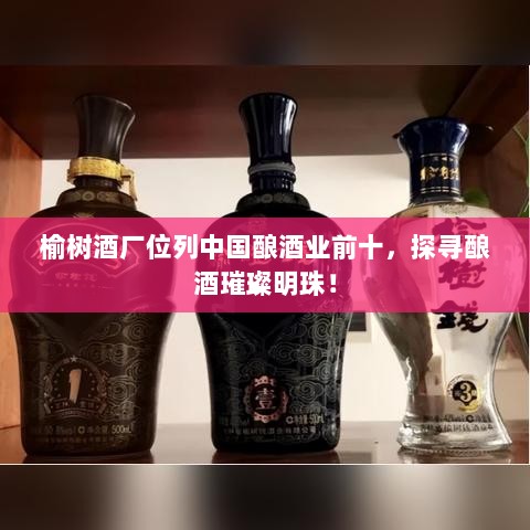 榆树酒厂位列中国酿酒业前十，探寻酿酒璀璨明珠！