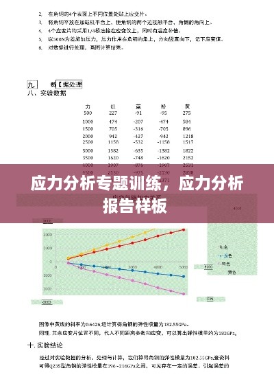 应力分析专题训练，应力分析报告样板 