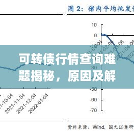 可转债行情查询难题揭秘，原因及解决方案